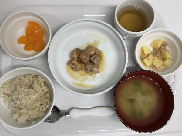 鶏肉のおろしがけ　常食