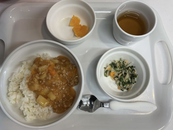 ハヤシライス常食