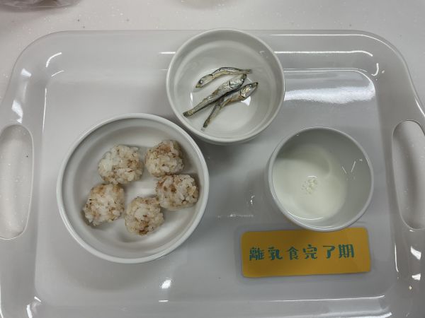 おかかおにぎりと食べる煮干し離乳食完了期