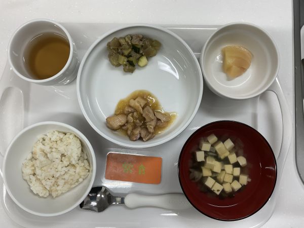 鶏肉のねぎだれ煮常食