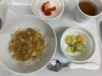 ハヤシライス常食