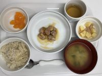 鶏肉のおろしがけ　常食