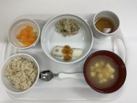 カレイの甘辛だれ常食