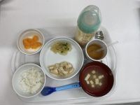 カレイの煮物離乳食　後期