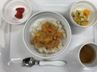 ハヤシライス　常食