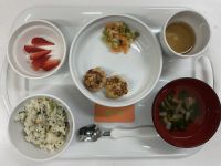 えのきの鶏みそつくね常食えにっくすの畑で採れた野菜を使用しています！