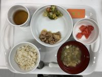 鶏肉の照り煮常食