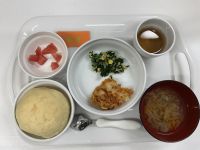 ポテトグラタン常食