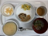 豆腐ハンバーグきのこあん常食