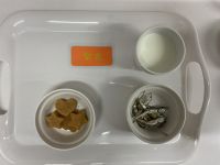 手作り米粉きなこクッキー常食