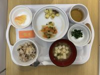【常食】梅と塩昆布の炊き込みご飯農園で収穫した野菜を使って、食育（みそ汁、和え物）をしました🥬