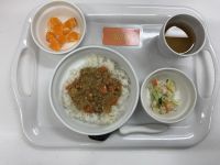 大根カレー常食
